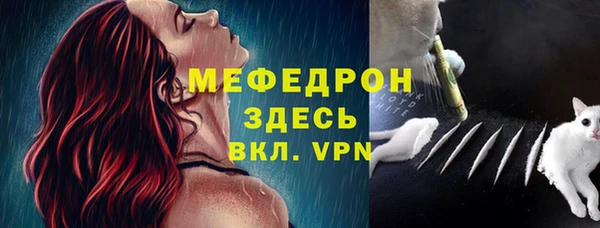 ECSTASY Бородино