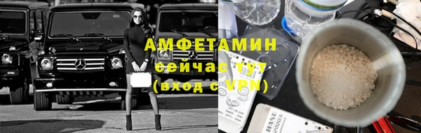 сатива Бронницы