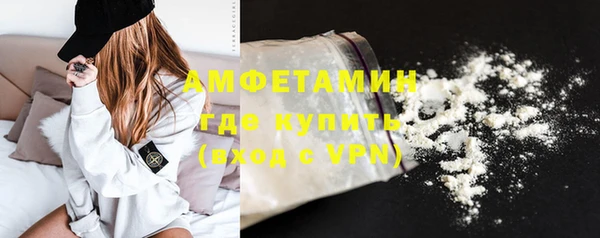 ECSTASY Бородино