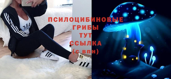 сатива Бронницы