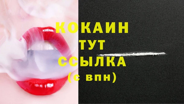 ECSTASY Бородино