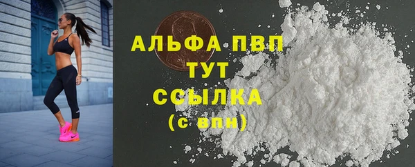ECSTASY Бородино