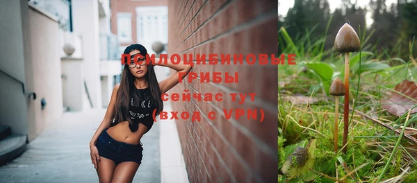 сатива Богородицк