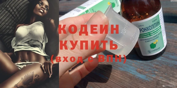ECSTASY Бородино