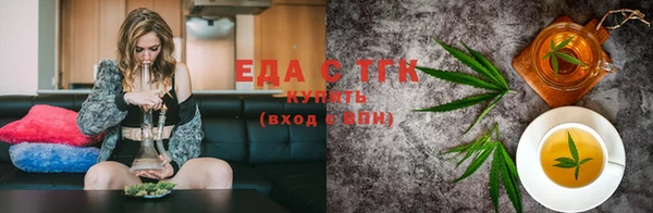 ECSTASY Бородино