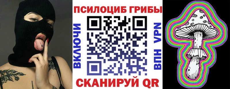 Псилоцибиновые грибы Psilocybe  где купить наркоту  Верхнеуральск 